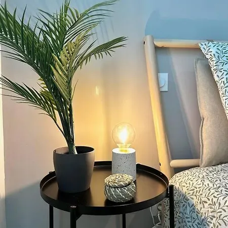 Daire La Barriere/hyper Centre/calme