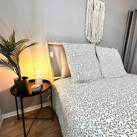 La Barriere/hyper Centre/calme Daire *